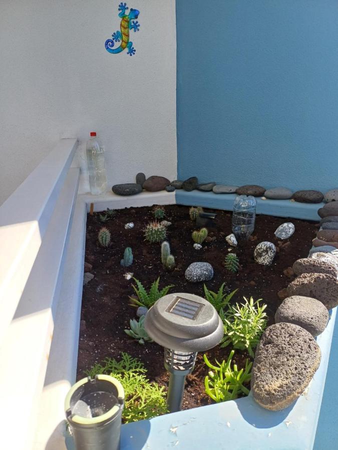 Ananas Golf Del Sur Apartment *